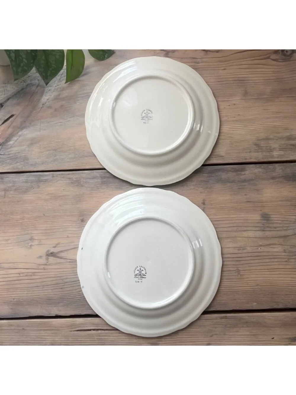 Homer Laughlin Styleline Dinner Plates Scalloped Edge White with Black Trim